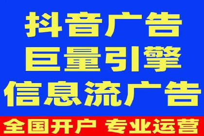 百度竞价与搜索引擎优化（SEO）的协同效应案例